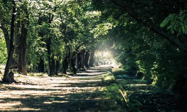 UN’IDEA PER L’ESTATE – UNA CICLO FOTOGRAFICA