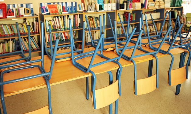 L’ALFABETO DELLA VITA, IL RISCHIO EDUCATIVO