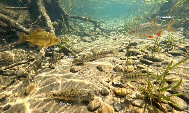 “An suga el canal”. La Pesca Miracolosa